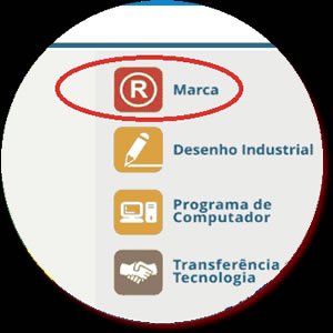 Protocolo de Solicitação de Registro de Marca